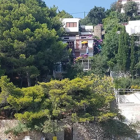Aida *
